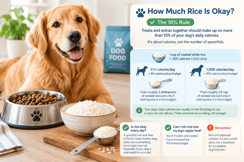 How much rice can dogs eat? Infographic showing the 10% rule for dog treats, safe cooked rice portions for dogs eating 400 or 1,000 calories daily, and tips for feeding rice alongside regular dog food.